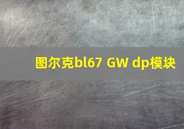 图尔克bl67 GW dp模块